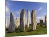 Standing Stones of Callanish, Isle of Lewis, Outer Hebrides, Scotland, United Kingdom-Lee Frost-Mounted Photographic Print