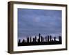 Standing Stones of Callanish, Isle of Lewis, Outer Hebrides, Scotland, United Kingdom-Tony Waltham-Framed Photographic Print