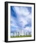 Standing Stones of Callanish, Isle of Lewis, Western Isles, Scotland-Martin Zwick-Framed Photographic Print