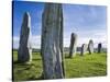 Standing Stones of Callanish, Isle of Lewis, Western Isles, Scotland-Martin Zwick-Stretched Canvas