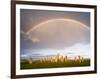 Standing Stones of Callanish, Isle of Lewis, Western Isles, Scotland-Martin Zwick-Framed Photographic Print