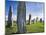 Standing Stones of Callanish, Isle of Lewis, Western Isles, Scotland-Martin Zwick-Mounted Photographic Print