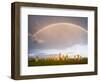 Standing Stones of Callanish, Isle of Lewis, Western Isles, Scotland-Martin Zwick-Framed Photographic Print