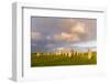 Standing Stones of Callanish, Isle of Lewis, Western Isles, Scotland-Martin Zwick-Framed Photographic Print