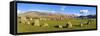 Standing Stones of Castlerigg Stone Circle Near Keswick-Neale Clark-Framed Stretched Canvas