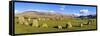 Standing Stones of Castlerigg Stone Circle Near Keswick-Neale Clark-Framed Stretched Canvas