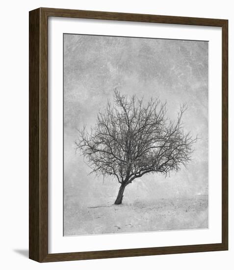 Standing Strong-Trent Foltz-Framed Art Print