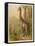 Standing Tall in the African Jungle-null-Framed Stretched Canvas