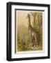 Standing Tall in the African Jungle-null-Framed Art Print