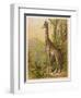 Standing Tall in the African Jungle-null-Framed Art Print