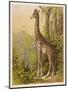 Standing Tall in the African Jungle-null-Mounted Art Print