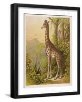 Standing Tall in the African Jungle-null-Framed Art Print