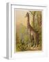 Standing Tall in the African Jungle-null-Framed Art Print