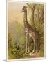 Standing Tall in the African Jungle-null-Mounted Art Print