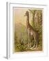 Standing Tall in the African Jungle-null-Framed Art Print