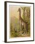 Standing Tall in the African Jungle-null-Framed Art Print