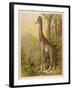 Standing Tall in the African Jungle-null-Framed Art Print