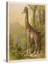 Standing Tall in the African Jungle-null-Stretched Canvas