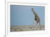 Standing Tall-JeremyRichards-Framed Photographic Print