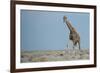 Standing Tall-JeremyRichards-Framed Photographic Print