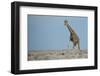 Standing Tall-JeremyRichards-Framed Photographic Print