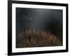 Standing toward the light...-Thierry Dufour-Framed Photographic Print