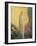 Standing Veiled Woman-Odilon Redon-Framed Giclee Print