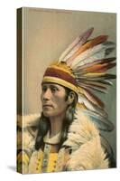 Standing Wolf, Cheyenne Indian-null-Stretched Canvas