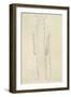 Standing Woman with Arms Dangling-Gustav Klimt-Framed Giclee Print