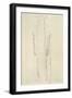 Standing Woman with Arms Dangling-Gustav Klimt-Framed Giclee Print