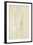 Standing Woman with Arms Dangling-Gustav Klimt-Framed Giclee Print