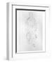 Standing Woman with Coat, 1916-Gustav Klimt-Framed Giclee Print