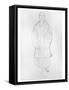 Standing Woman with Coat, 1916-Gustav Klimt-Framed Stretched Canvas