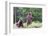 Standing Young Grizzly-nero-Framed Photographic Print