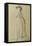 Standing Young Woman-Francois Louis Joseph Watteau-Framed Stretched Canvas