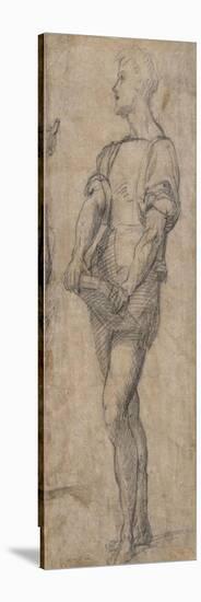 Standing Youth Holding a Book, Ca 1515-Andrea del Sarto-Stretched Canvas