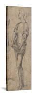 Standing Youth Holding a Book, Ca 1515-Andrea del Sarto-Stretched Canvas