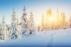 Magical Winter Landscape, Background with Some Soft Highlights and Snow Flakes-standret-Photographic Print