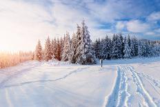 October Mountain Beech Forest with First Winter Snow-standret-Photographic Print