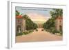 Stanford, Palo Alto, California-null-Framed Art Print