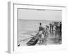 Stanford Rowing Crew Team Photograph - Stanford, CA-Lantern Press-Framed Art Print