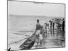 Stanford Rowing Crew Team Photograph - Stanford, CA-Lantern Press-Mounted Art Print