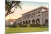 Stanford University Campus-null-Mounted Premium Giclee Print