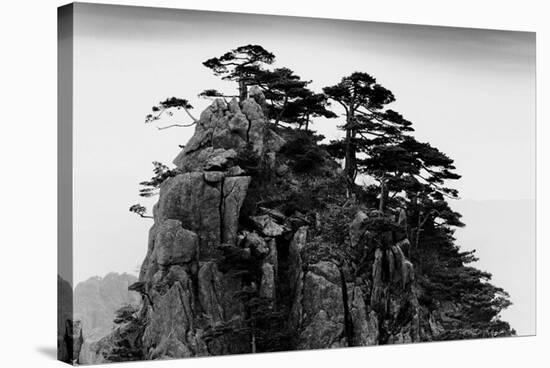 Stange Pines, Huangshan, China-null-Stretched Canvas