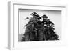 Stange Pines, Huangshan, China-null-Framed Art Print