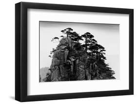 Stange Pines, Huangshan, China-null-Framed Art Print