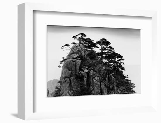 Stange Pines, Huangshan, China-null-Framed Art Print