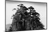 Stange Pines, Huangshan, China-null-Mounted Art Print