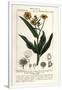 Gramercy White