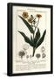 Essential Black